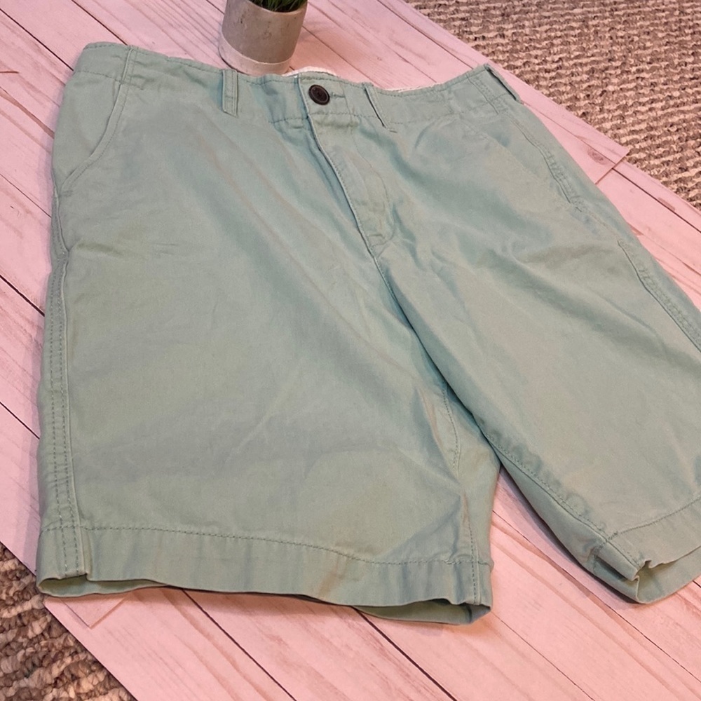 American Eagle Outfitters Flat Front Green Shorts - Picture 3 of 8